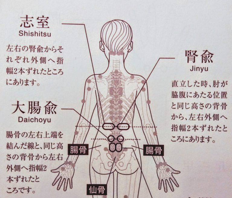 腰痛に効く【ツボ】っ！！ | 新潟市中央区ハレルヤ鍼灸整骨院-夜遅く（21時）まで受付